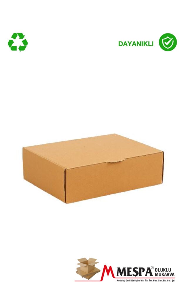 Kilitli E-Ticaret ve taşıma kutusu 25 x 24 x 9