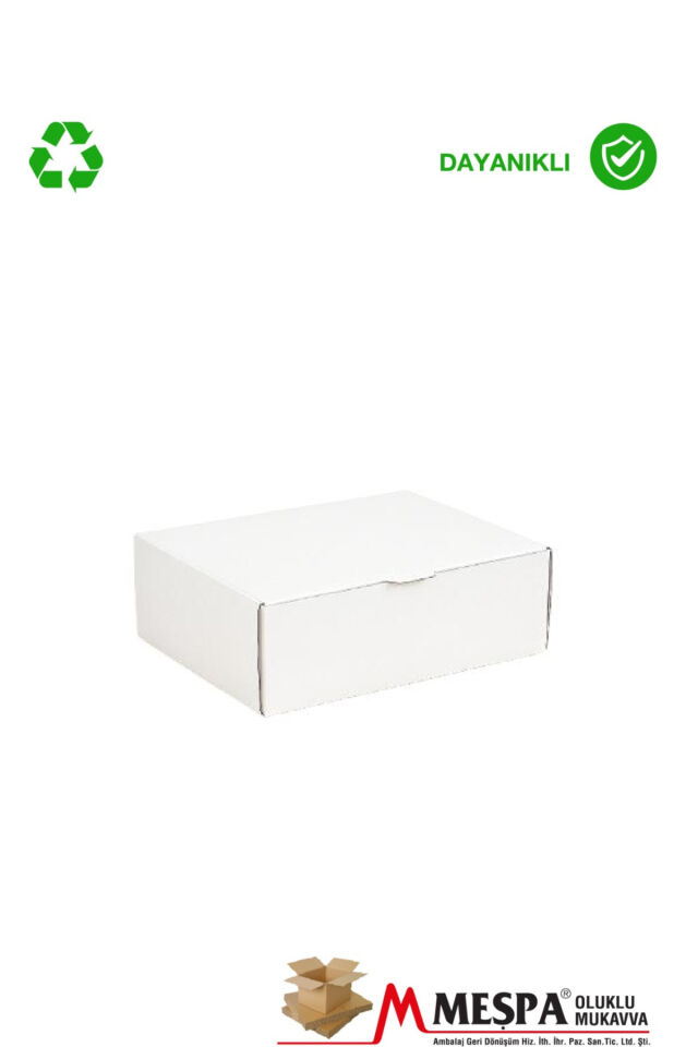 21 X 8,6 X 8,3 cm Kargo Kutusu – Kilitli E-Ticaret Kutusu
