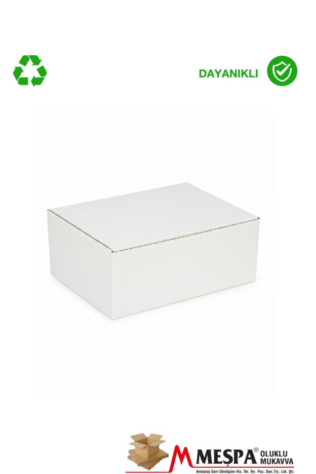 15.5 X 9.5 X 25.2 cm Kargo Kutusu – Kilitli E-Ticaret Kutusu